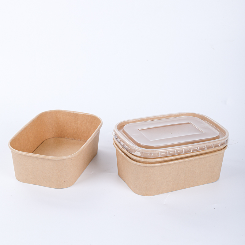 Hot food paper bowl with sealable lid