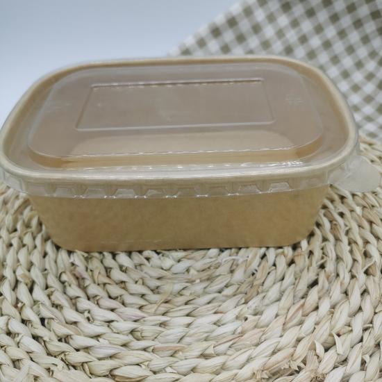 recycle disposable food container